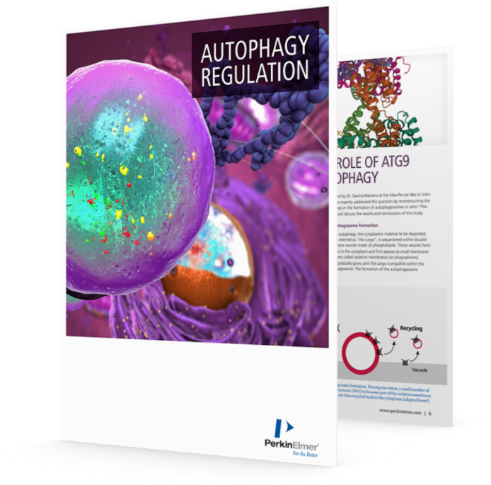 Autophagy intelligence overview